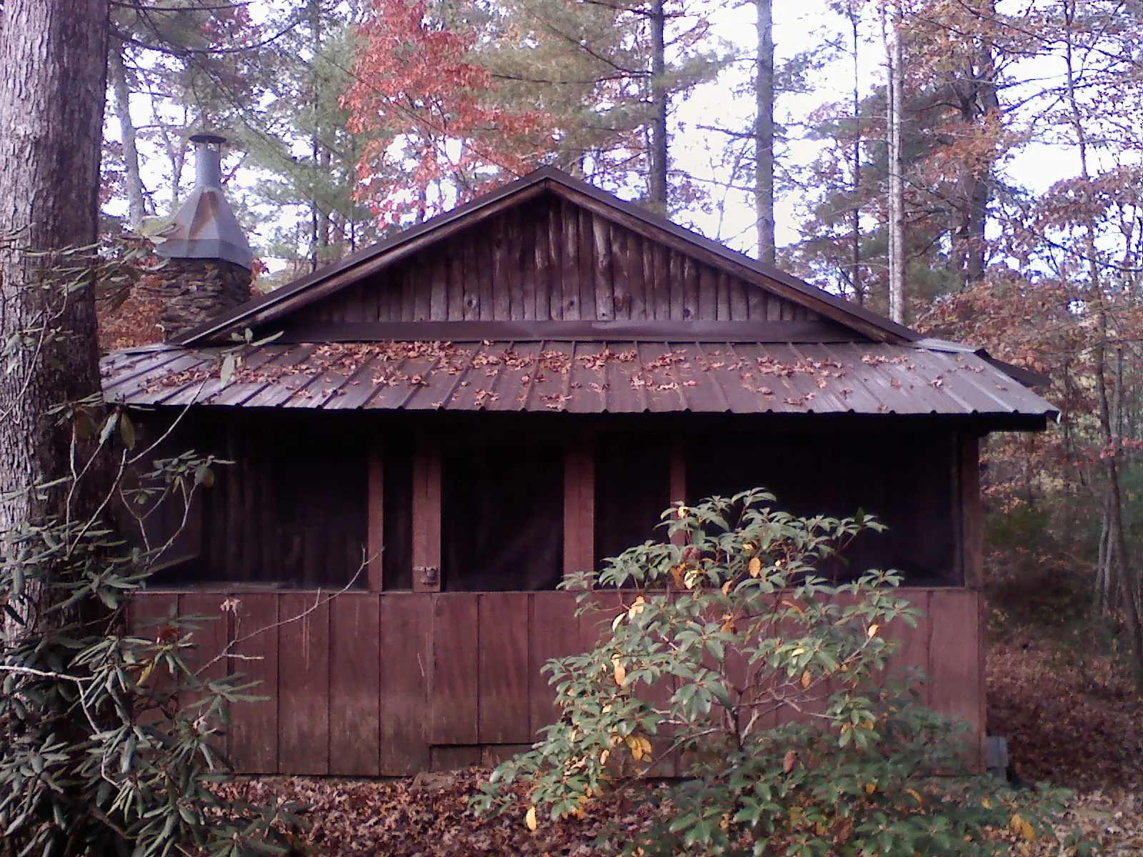 Metal roof over the screened porch of a rustic cabin in Elgin
